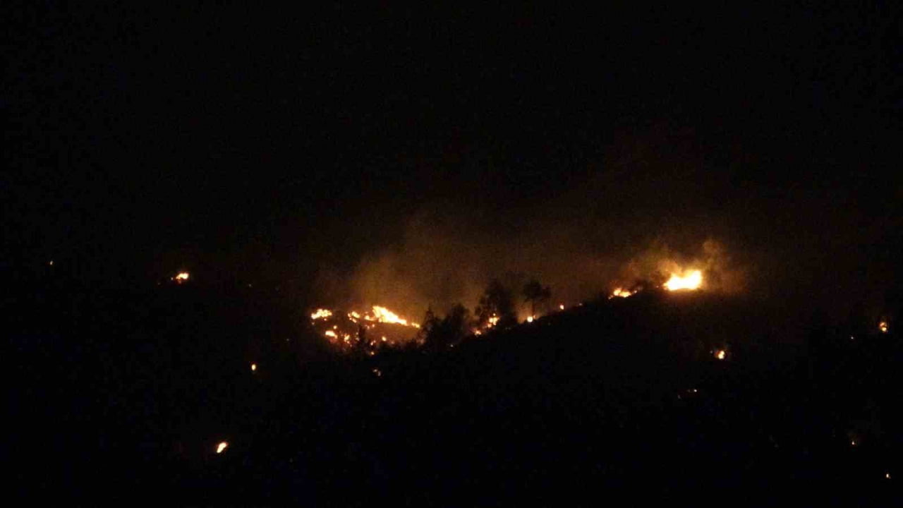 ÇANAKKALE'NİN EZİNE İLÇESİNDE ÇIKAN ORMAN YANGINA ORMAN BÖLGE MÜDÜRLÜĞÜ EKİPLERİN YOĞUN...