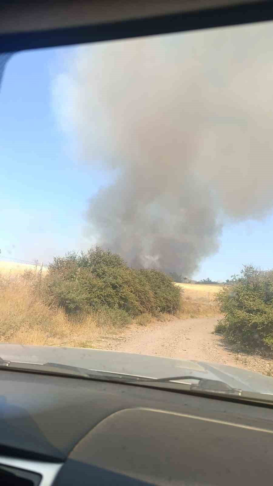 ÇANAKKALE'NİN EZİNE İLÇESİNDE ÇIKAN ORMAN YANGININA ORMAN BÖLGE MÜDÜRLÜĞÜ EKİPLERİ HAVADAN VE...