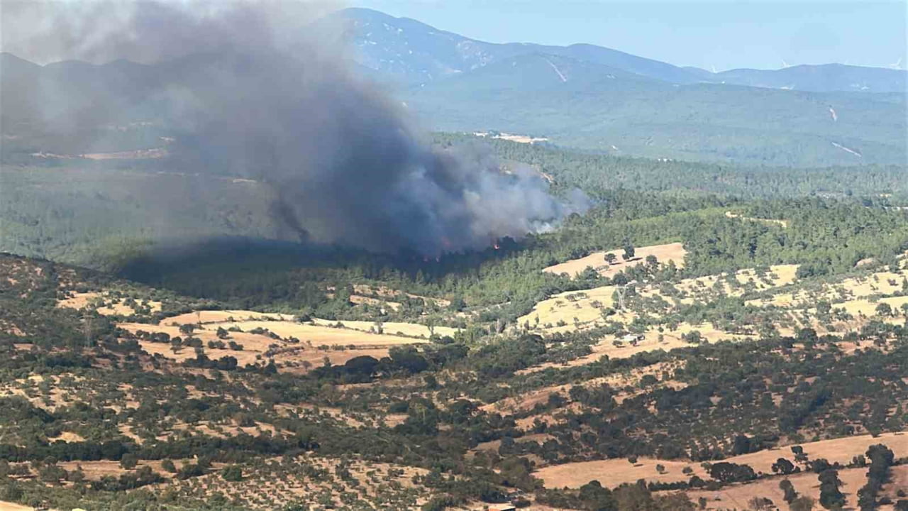 ÇANAKKALE’NİN BAYRAMİÇ İLÇESİNDE ÇIKAN ORMAN YANGININA HAVADAN VE KARADAN MÜDAHALEYE DEVAM...