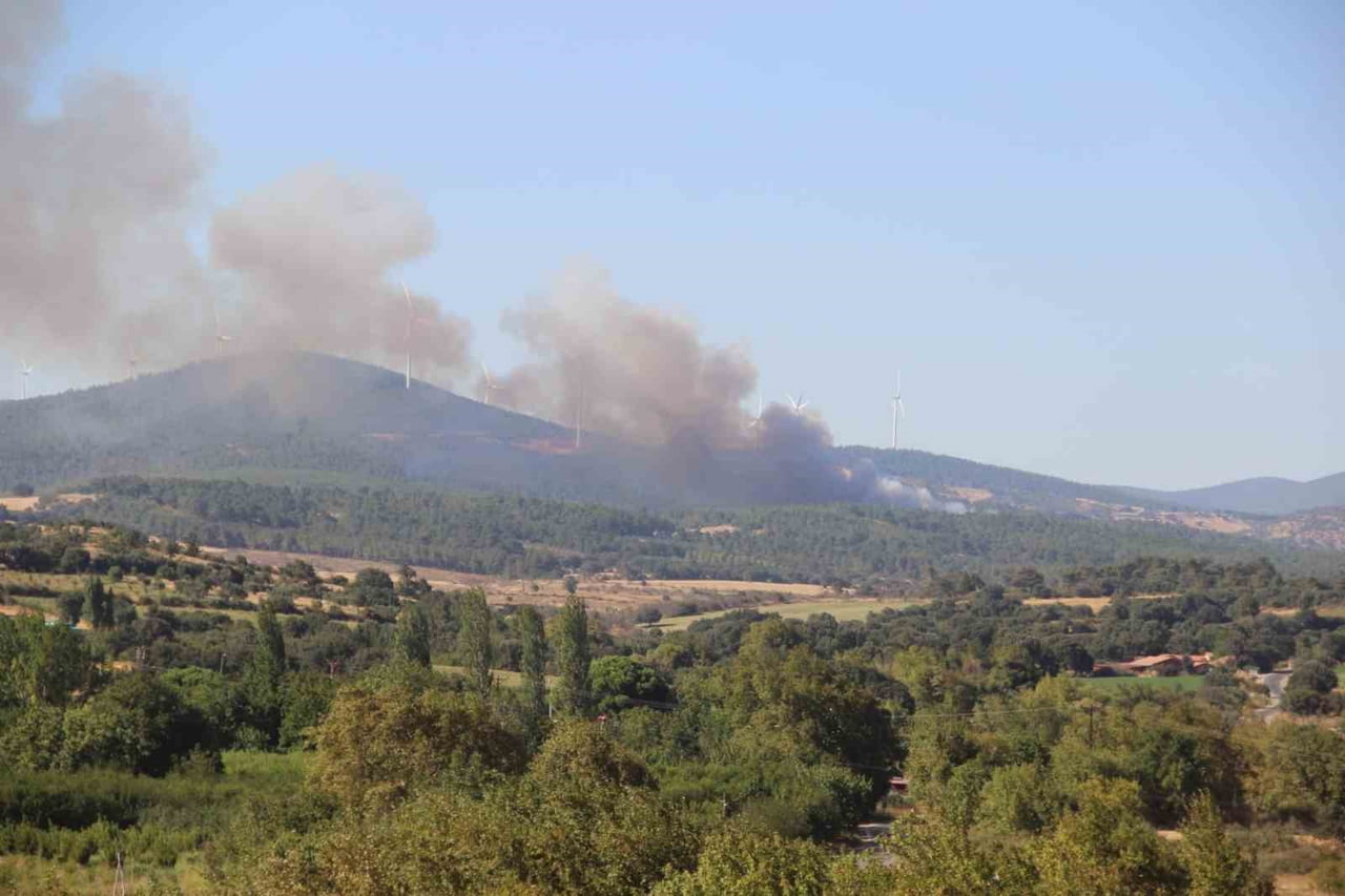 ÇANAKKALE’NİN BAYRAMİÇ İLÇESİNDE ÇOKTAN ORMAN YANGININA HAVADAN VE KARADAN MÜDAHALE...