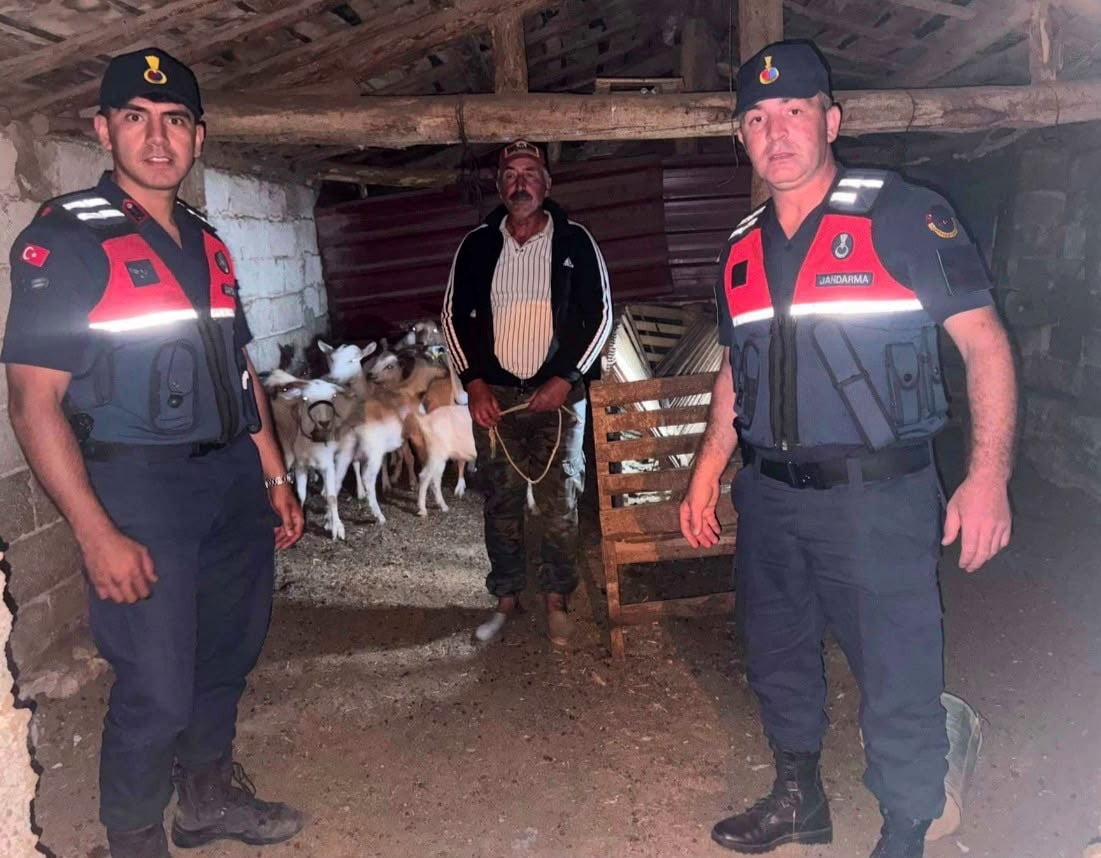 ÇANAKKALE’NİN BAYRAMİÇ İLÇESİNDE KAYBOLAN 15 KÜÇÜKBAŞ HAYVAN JANDARMA TARAFINDAN ORMANLIK ALANDA...