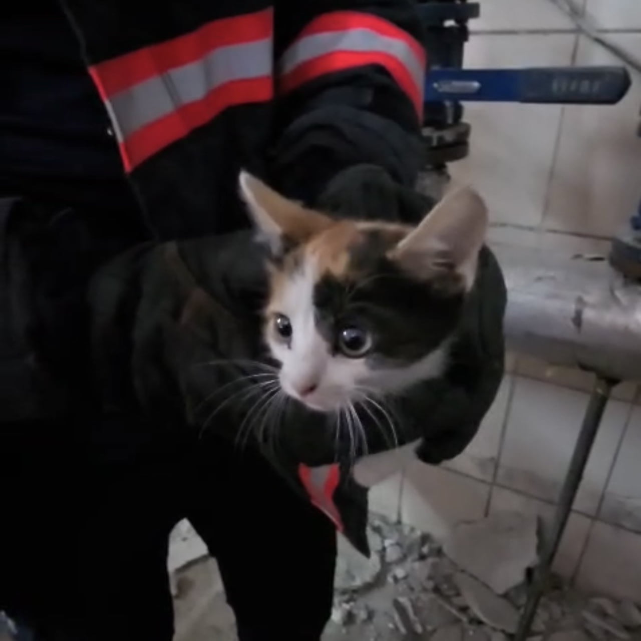 ÇANKIRI’DA HAVALANDIRMA BOŞLUĞUNUN İÇİNDE MAHSUR KALAN YAVRU İTFAİYE EKİBİ TARAFINDAN...