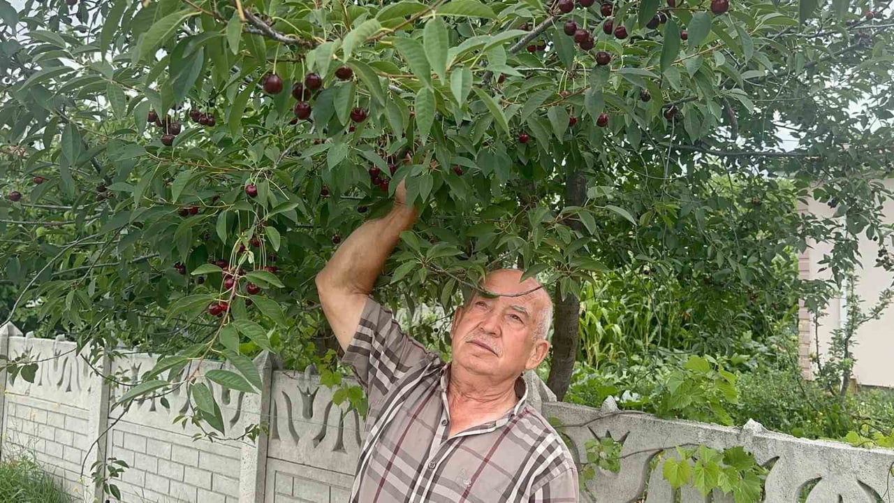 ÇİFTÇİLİK YAPAN MUSTAFA AKPINAR
