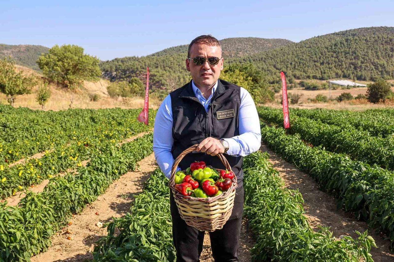 COĞRAFİ İŞARETLİ KAMBER BİBERİ'NDE HASAT BAŞLADI