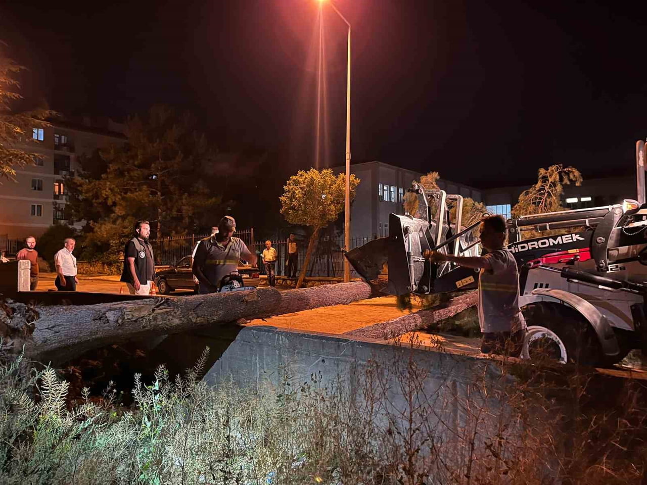 ÇORUM'DA RÜZGARIN ŞİDDETİNE DAYANAMAYAN AĞAÇ YOLA DEVRİLDİ. OLAYDA ŞANS ESERİ YARALANAN OLMAZKEN...