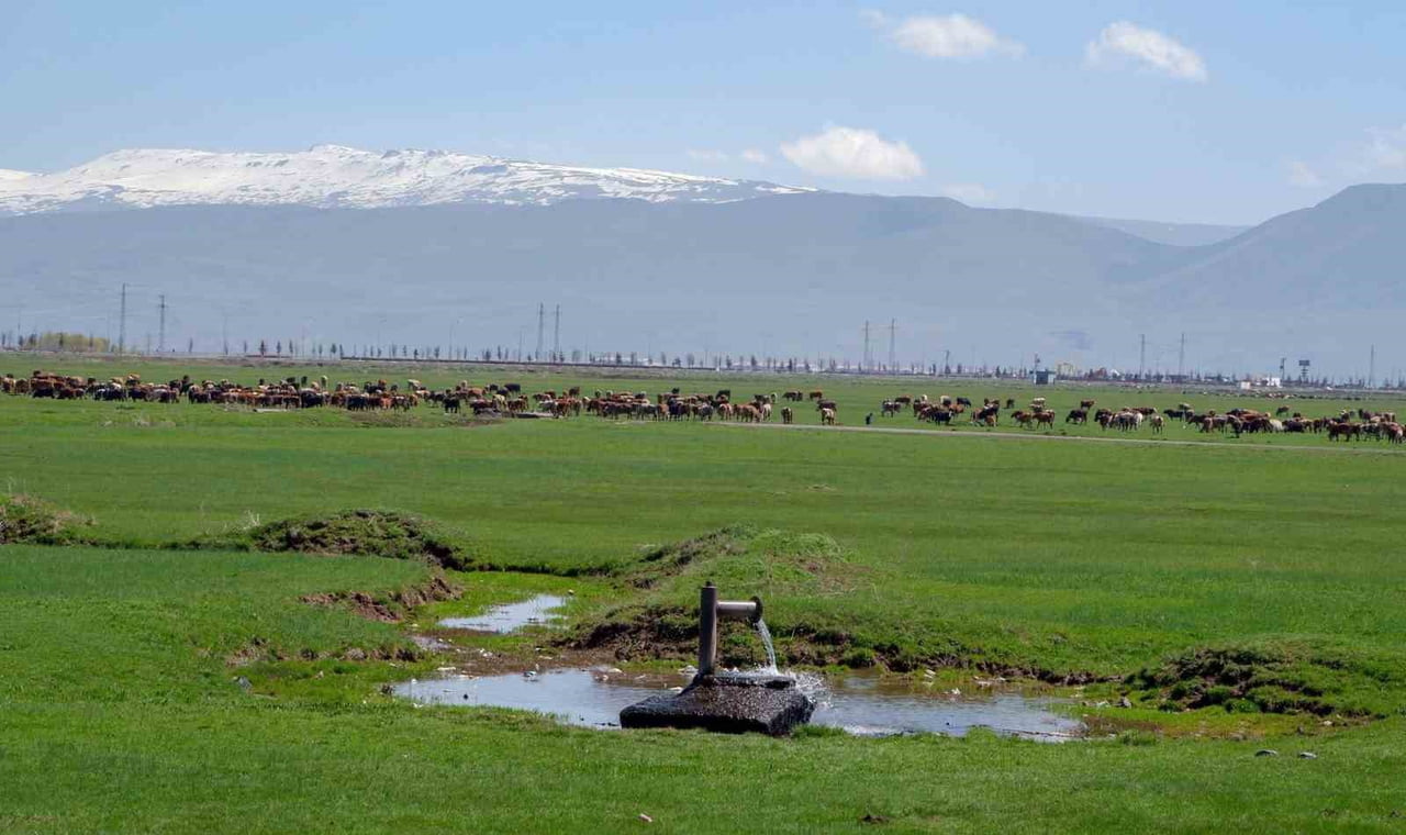 CUMHURİYET’İN İLK YILLARINDA ERZURUM’UN EKONOMİK POTANSİYELİNE İLİŞKİN DİKKAT ÇEKİCİ BİR ARŞİV...