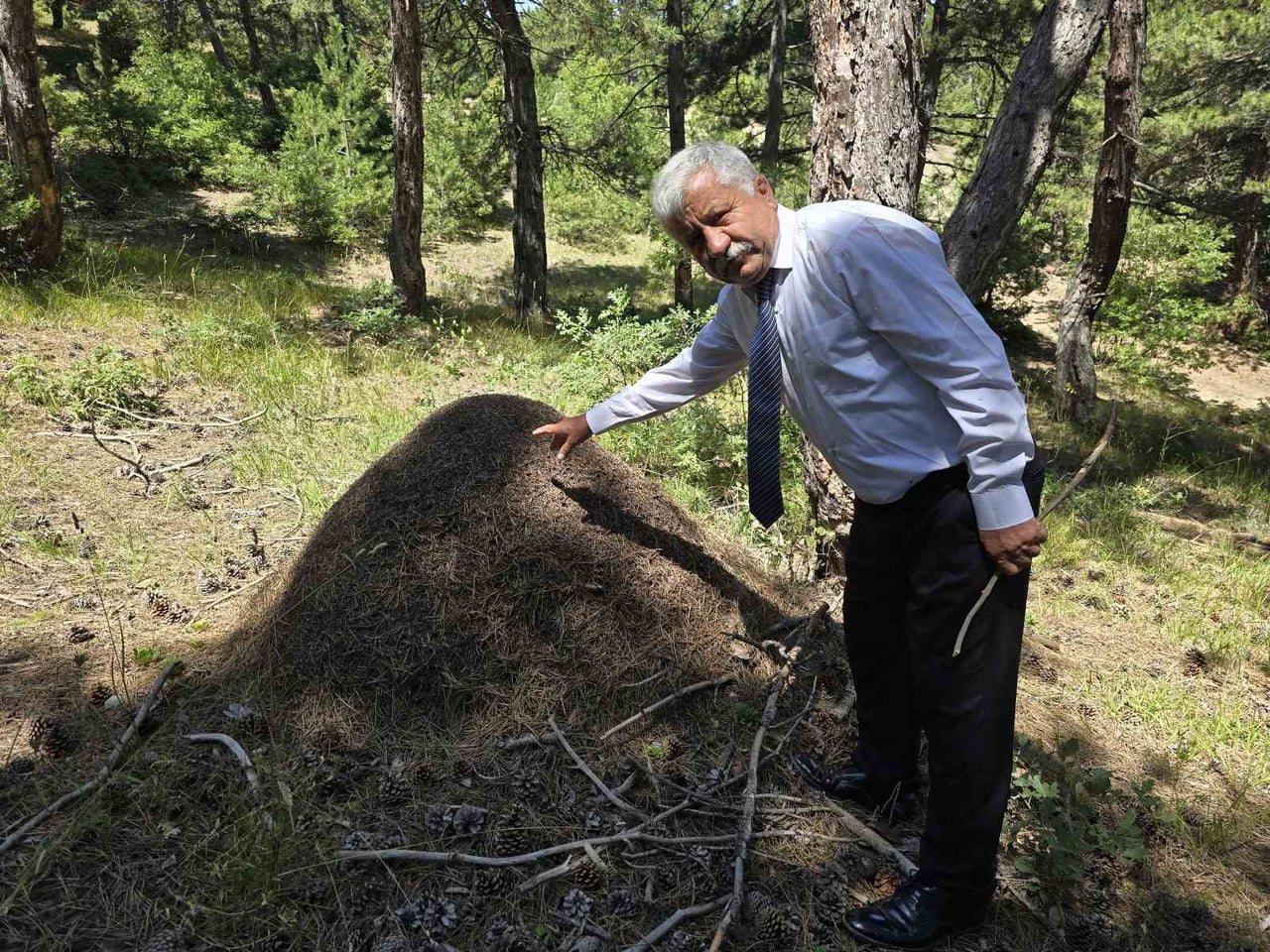 DEMİRCİALAN KÖYÜ MUHTARI İSMAİL EROL TORUNU İLE ÇIKTIĞI DOĞA YÜRÜYÜŞÜ ESNASINDA TORUNUNA BİLGİLER...