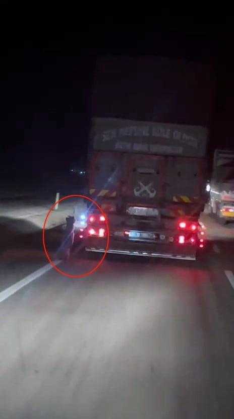 DENİZLİ'DE BİR KAMYONETİN ARKASINA İPLE BAĞLANAN KÖPEĞİN KİLOMETRELERCE SÜRÜKLENDİĞİ ANLAR, ARAÇ...