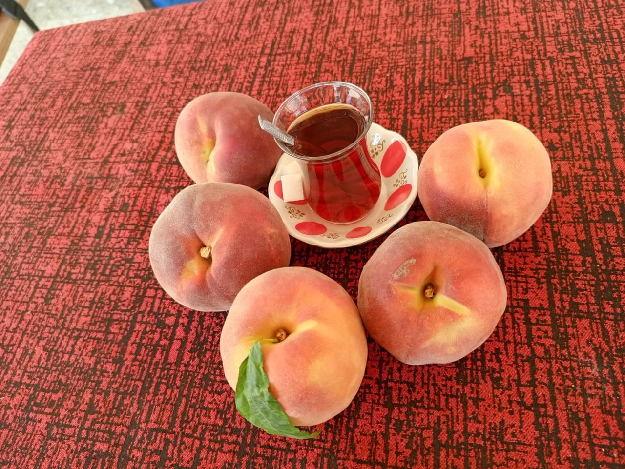 DENİZLİ'NİN ÇİVRİL İLÇESİNDE ŞEFTALİ HASADI SÜRERKEN, KİLOGRAMI 30 LİRADAN SATILAN ÜRÜNÜN FİYATI...