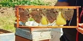 DENİZLİ’NİN BAKLAN İLÇESİNDE ARILI KOVAN TESPİT VE KAYIT ÇALIŞMALARI ESNASINDA BİR ÜRETİCİYE AİT...