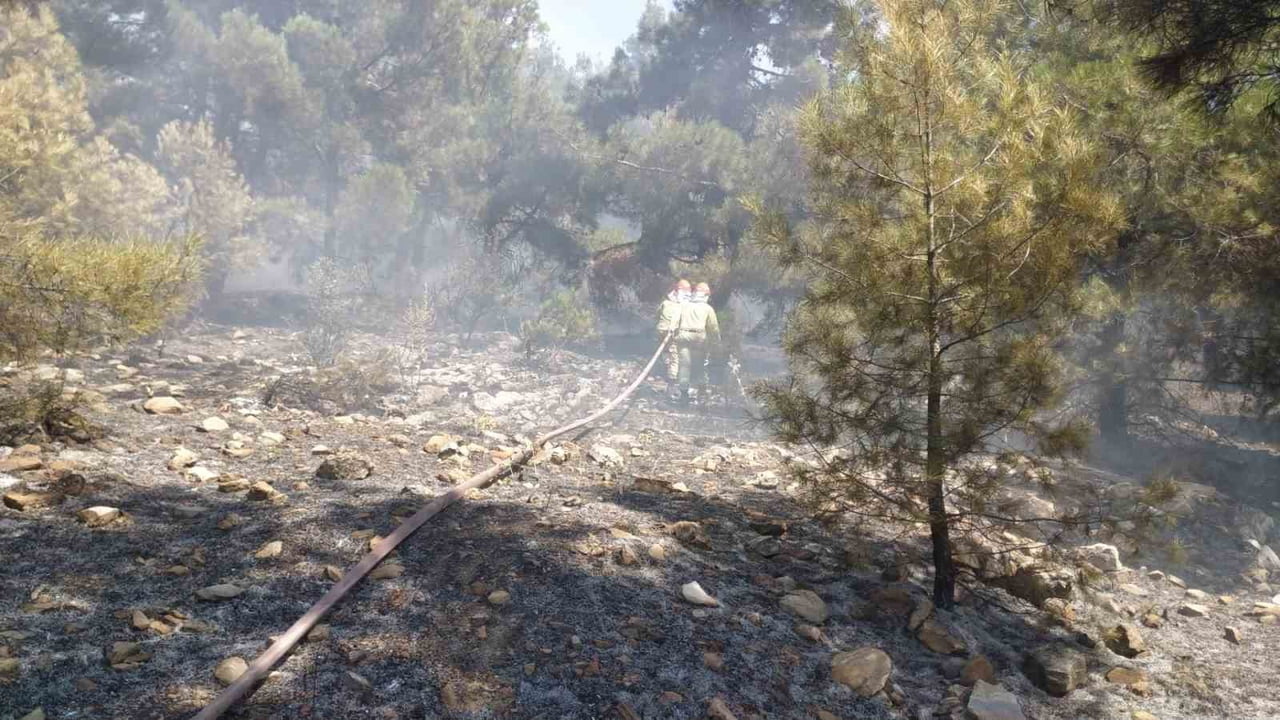 DENİZLİ’NİN BEKİLLİ İLÇESİNDE ORMAN PARKI YAKINLARINDA ÇIKAN YANGIN, ORMAN EKİPLERİNİN KARADAN...