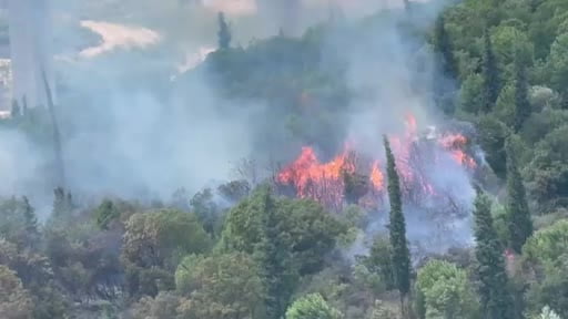 Dilovası'nda orman yangını