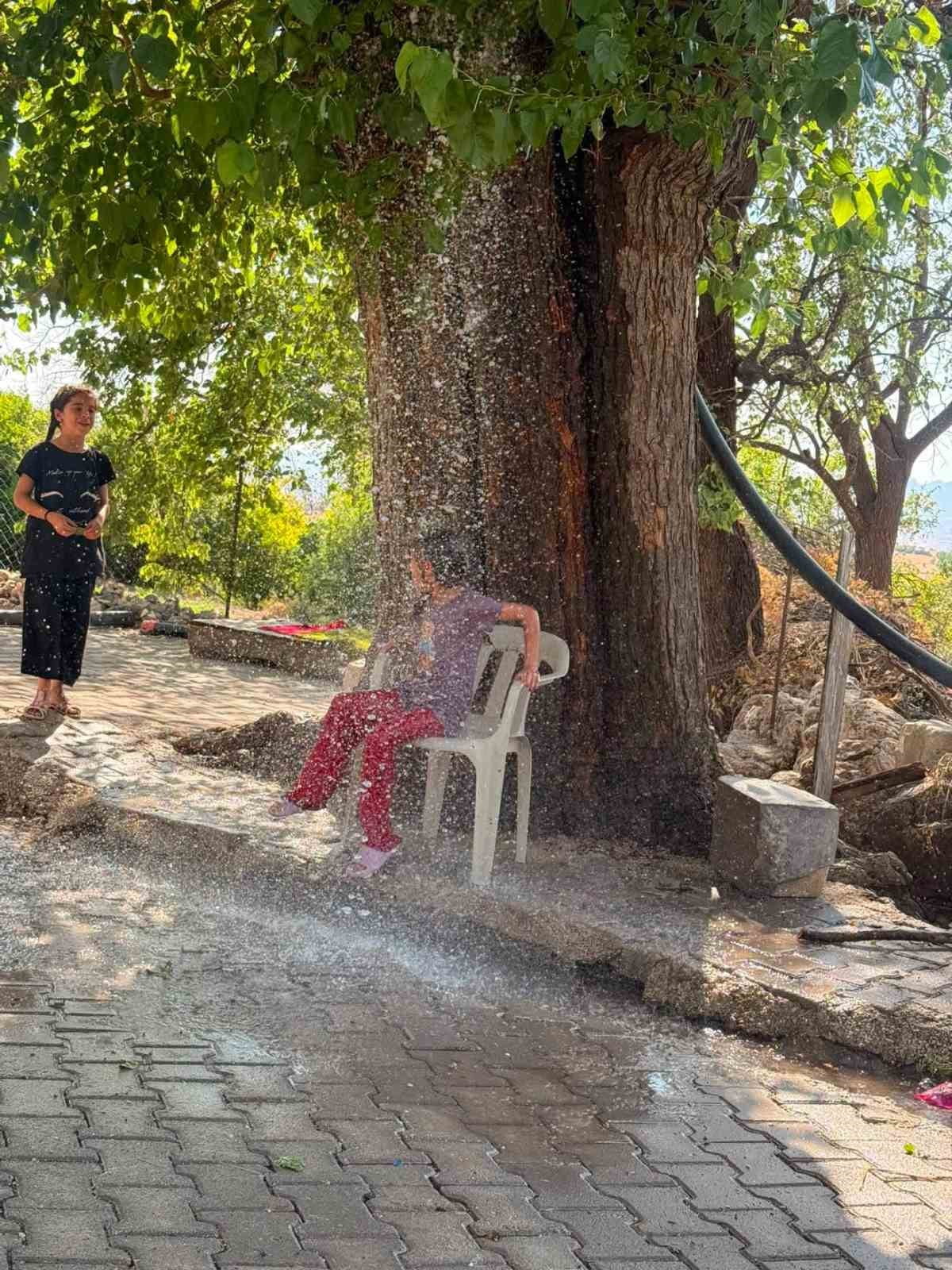 DİYARBAKIR'IN ÇERMİK İLÇESİNDE SICAKTAN BUNALAN VATANDAŞ, ÇÖZÜMÜ AĞAÇTAN SARKITTIĞI HORTUMDAN AKAN...