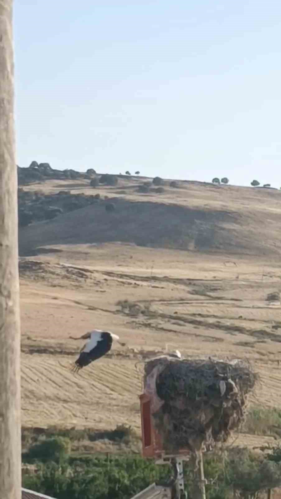 DİYARBAKIR'IN ERGANİ İLÇESİNDE AYAĞI YUVASINDAKİ BEZ PARÇASINA TAKILAN LEYLEK ENERJİ ŞİRKETİ EKİBİ...