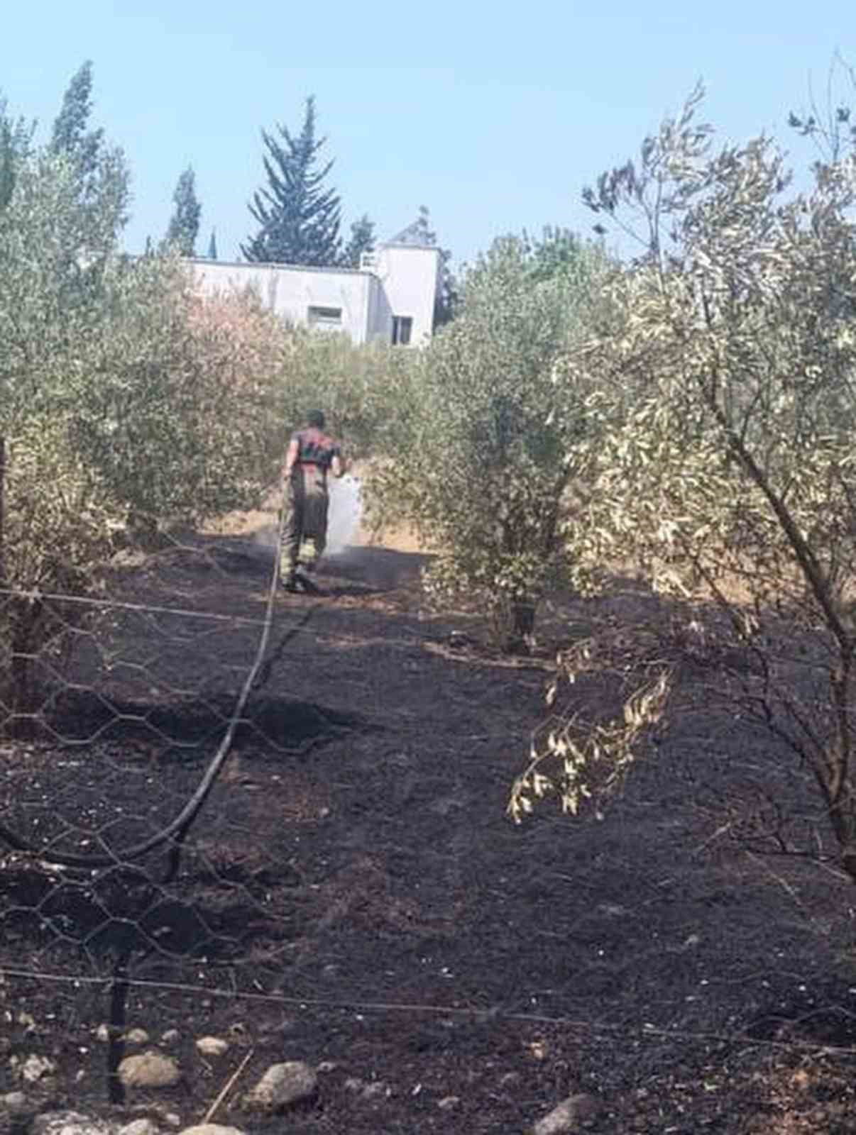 DÖRTYOL İLÇESİ KUZUCULU MAHALLESİ’NDE ÇIKAN BAHÇE YANGININA EKİPLERİN MÜDAHALESİNDEN...