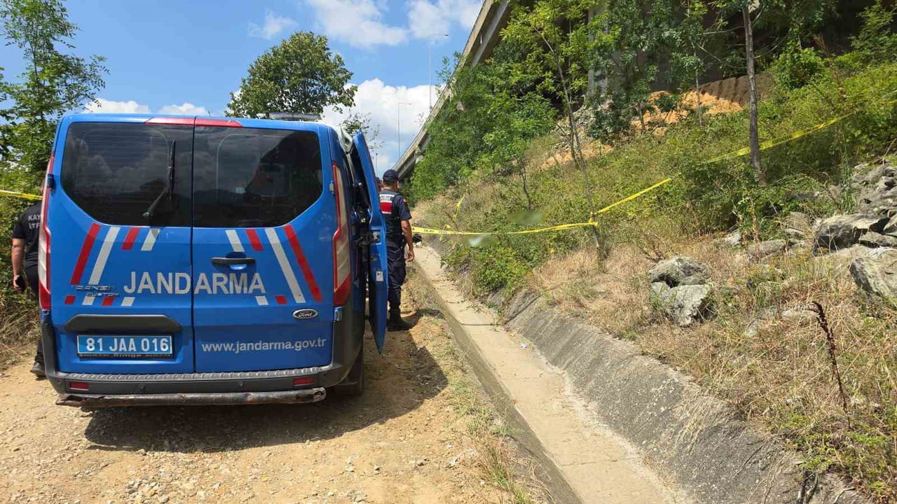 DÜZCE’DE ORTOPEDİ VE TRAVMATOLOJİ UZMAN DOKTORU ERKUT KARACA ANADOLU OTOYOLU 1. VİYADÜKLERİ...