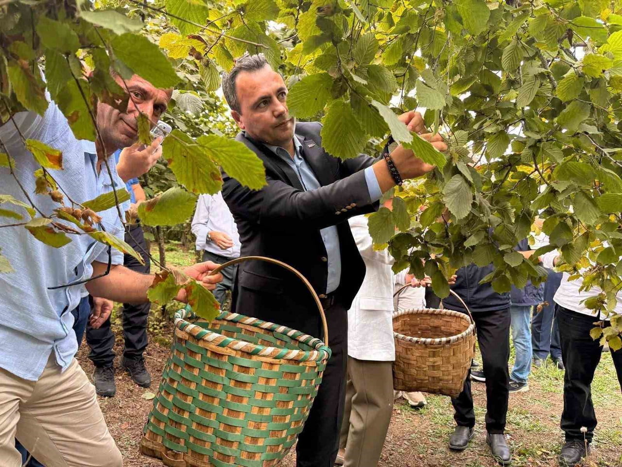 DÜZCE’NİN AKÇAKOCA İLÇESİNDE YÖRESEL TARIM KÜLTÜRÜNÜ YAŞATMAK VE BÖLGE EKONOMİSİNİN CAN DAMARI...