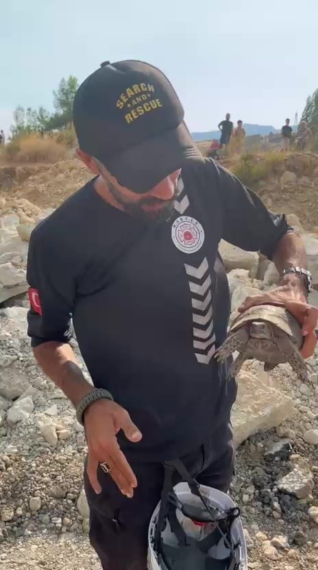 EKİPLERİN KAPLUMBAĞAYI KURTARMASI