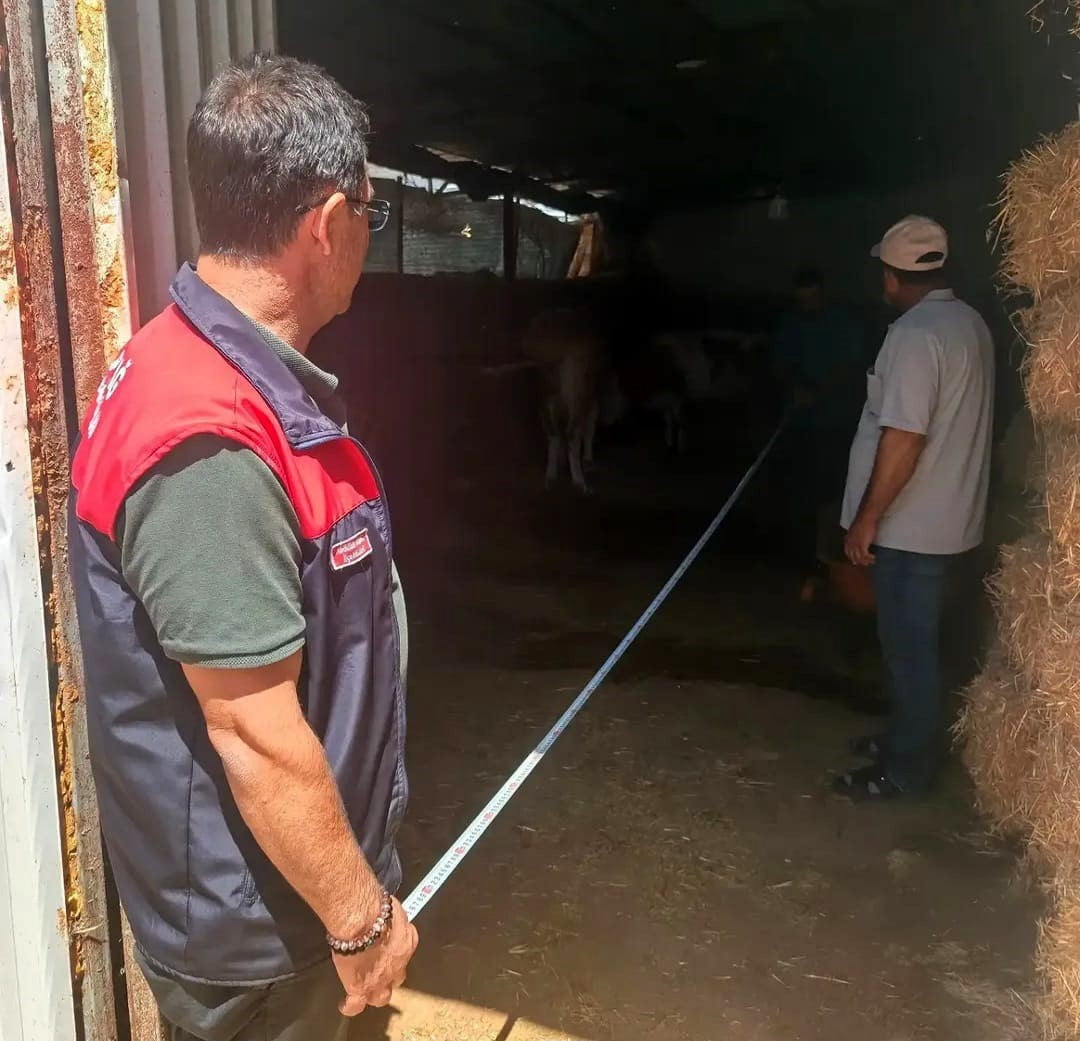 ELAZIĞ’DA İLÇE TARIM VE ORMAN MÜDÜRLÜĞÜ EKİPLERİ TARAFINDAN BÜYÜKBAŞ HAYVANCILIK İŞLETMELERİ...