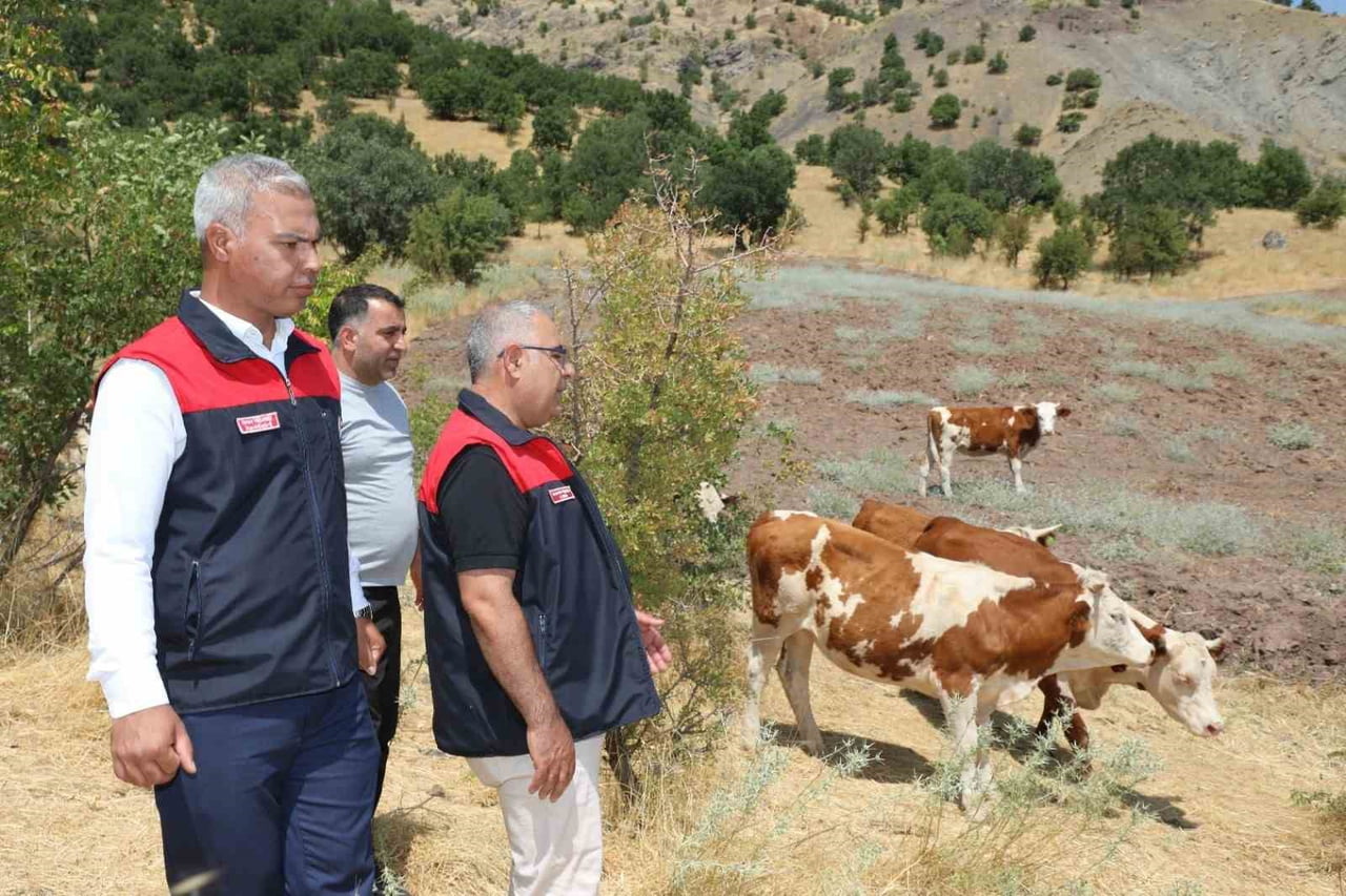 ELAZIĞ’DA SÜREN KIRSALDA BEREKET, HAYVANCILIĞA DESTEK PROJESİ KAPSAMINDA DESTEK ALAN ÜRETİCİLER...