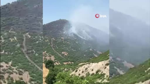 Elazığ’daki orman yangını kontrol altına alındı