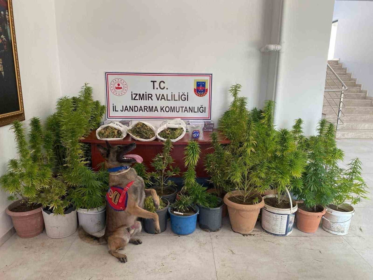 ELE GEÇİRİLEN ÜRÜNLER