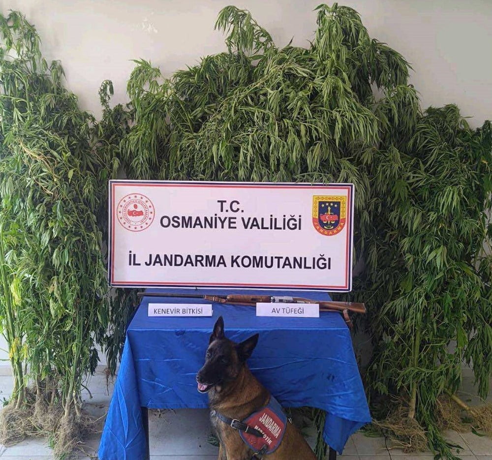 ELE GEÇİRİLENLER