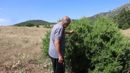 Emekli imam, Toroslar'ın zirvesinde arılarla doğal yaşamı seçti
