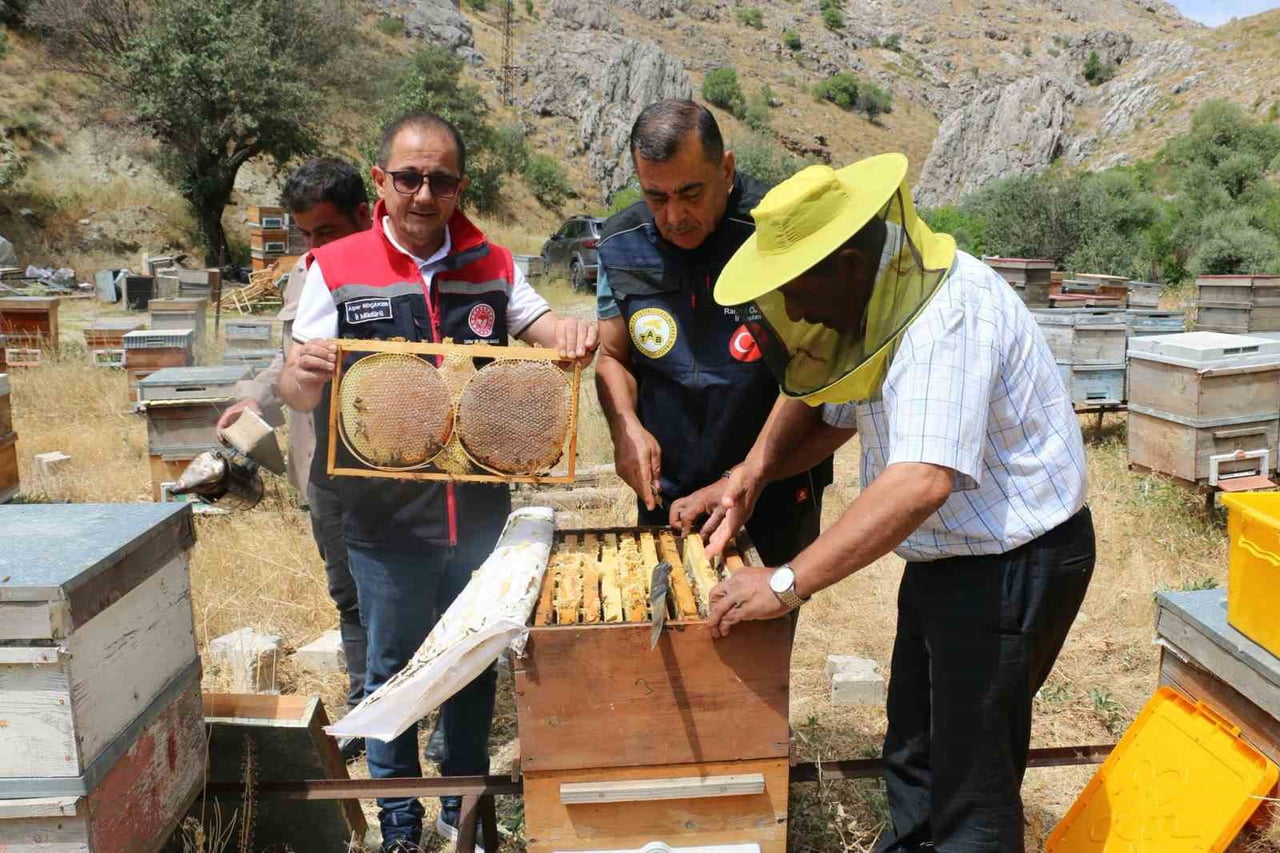 ERZİNCAN’DA BAL HASADI BAŞLADI: BİN 500 TON REKOLTE BEKLENİYOR