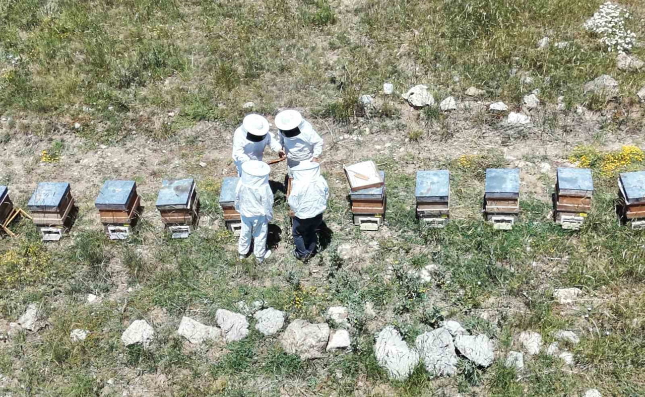 ERZİNCAN’DA KOVANLAR BAL DOLDU, ARICILAR HASADI BEKLİYOR