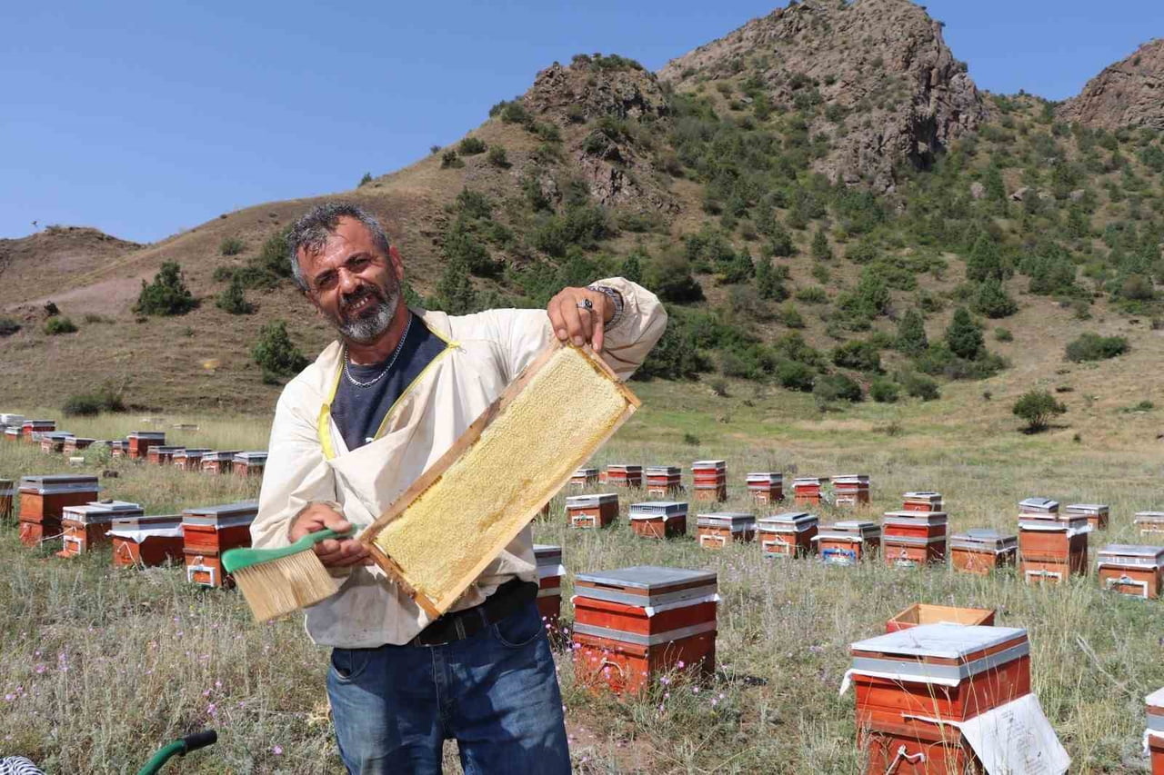 ERZURUM'UN OLTU İLÇESİNDE BAL HASADI SEZONU BAŞLADI. OLTULU ARI YETİŞTİRİCİSİ HASAN DEMİR, BU...