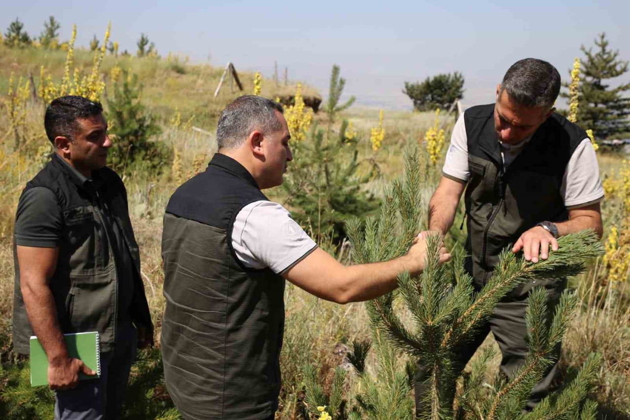 ERZURUM ORMAN BÖLGE MÜDÜRÜ SERKAN KARAKURT, PALANDÖKEN VE KONAKLI'DA YÜRÜTÜLEN AĞAÇLANDIRMA VE...