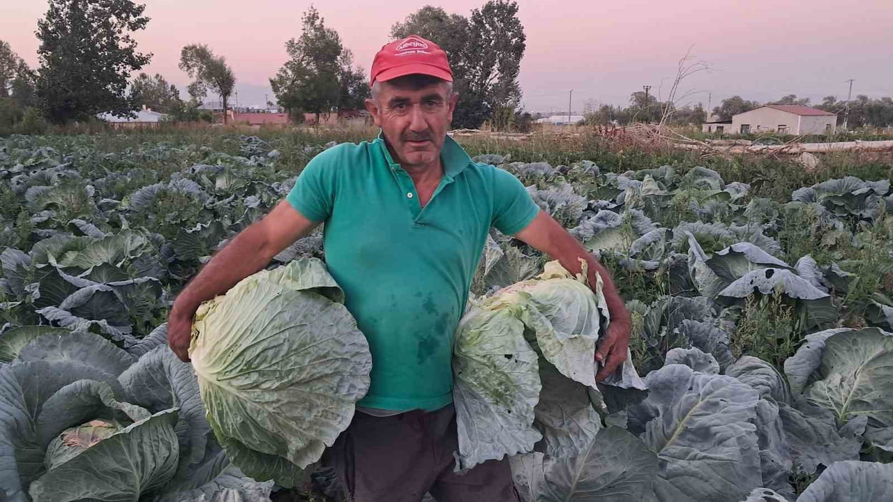 ERZURUM’UN AZİZİYE İLÇESİNE BAĞLI KIRSAL SÖĞÜTLÜ MAHALLESİ’NDE, BÖLGENİN ÖNEMLİ TARIM ÜRÜNLERİNDEN...