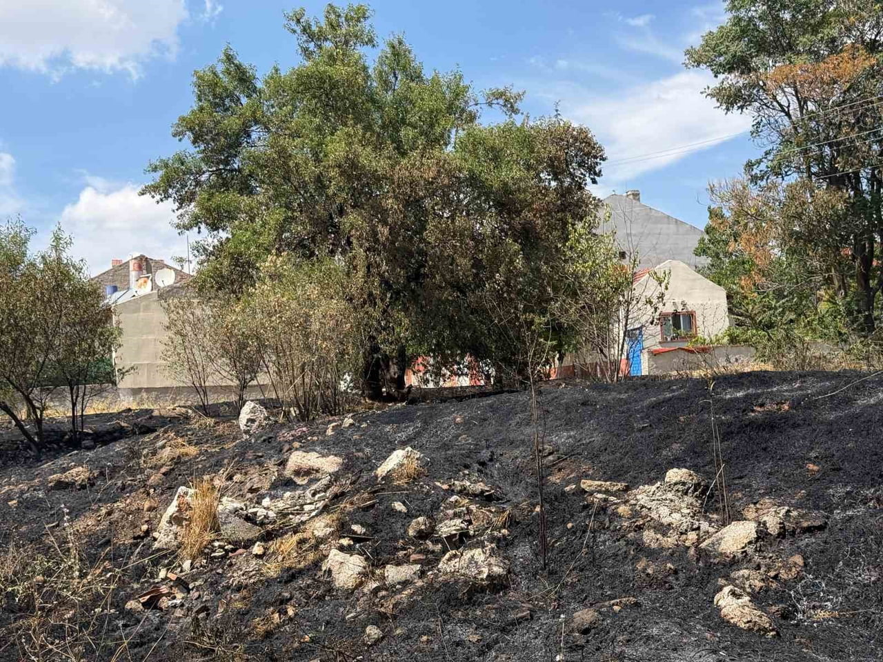 ESKİŞEHİR'DE BOŞ ARAZİDE YANGIN ÇIKTI