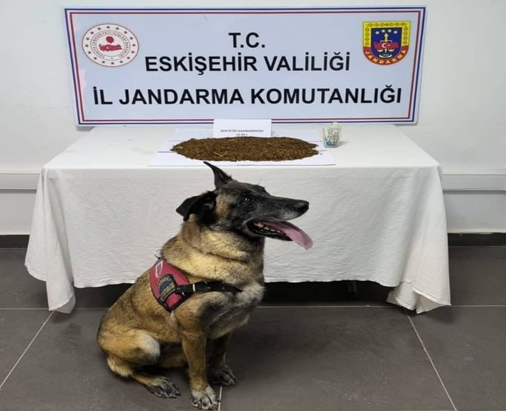 ESKİŞEHİR'DE DÜZENLENEN OPERASYONDA 361 GRAM BONZAİ ELE GEÇİRİLİRKEN, GÖZALTINA ALINAN ŞÜPHELİ...