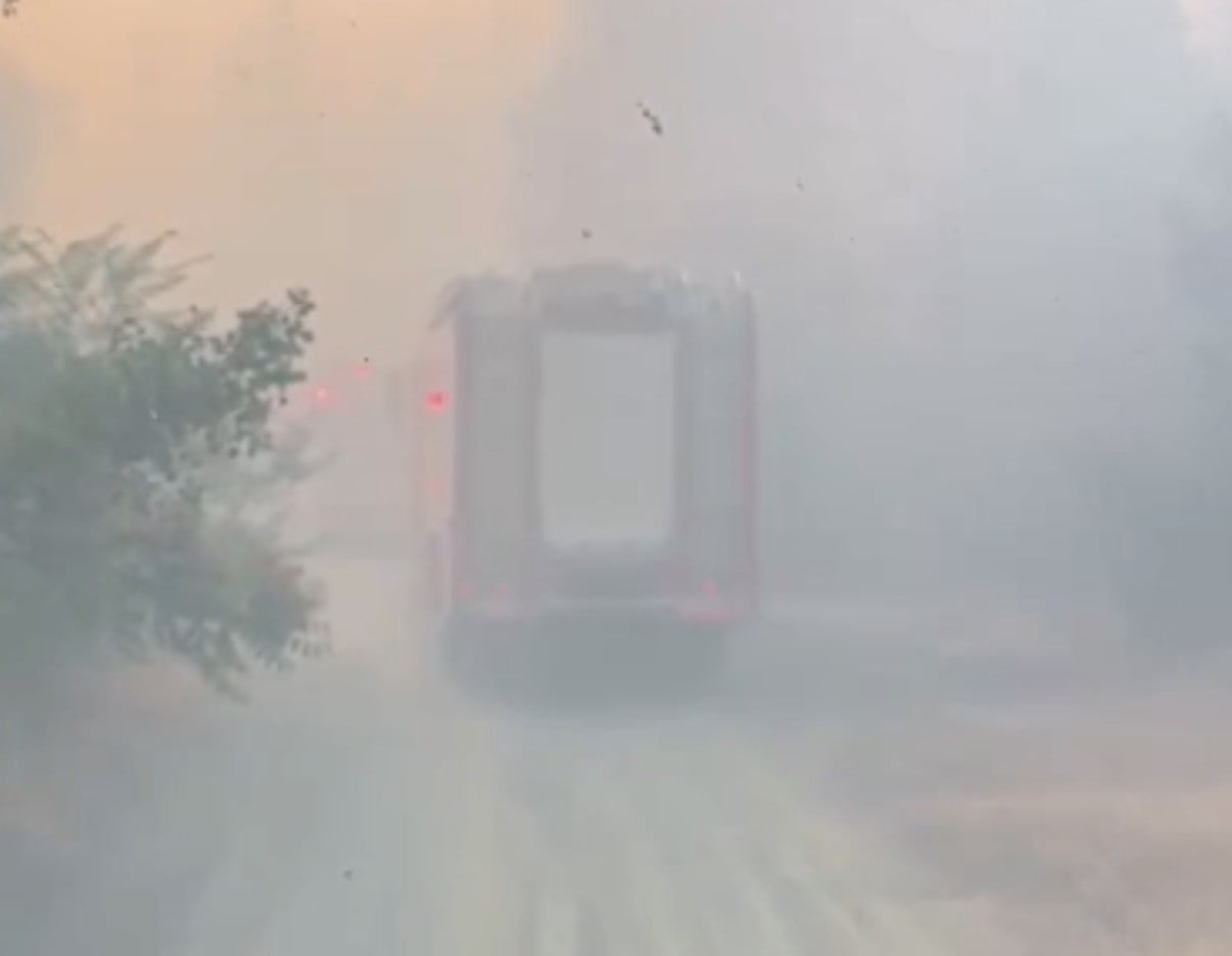 ESKİŞEHİR'İN ORMANLIK ALANDA ÇIKAN YANGINDA, ALEVLERİN ARASINDA KALARAK YANMAK ÜZERE OLAN BİR...