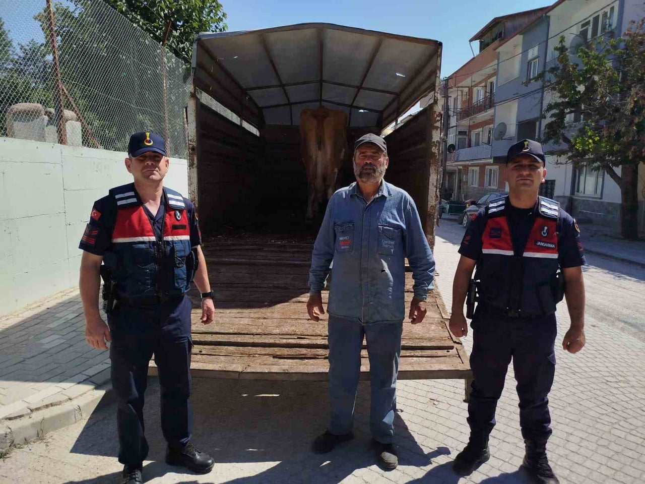 ESKİŞEHİR’DE ÇALINAN BÜYÜKBAŞ HAYVANLARDAN BİRİ BİLECİK’TE BULUNDU