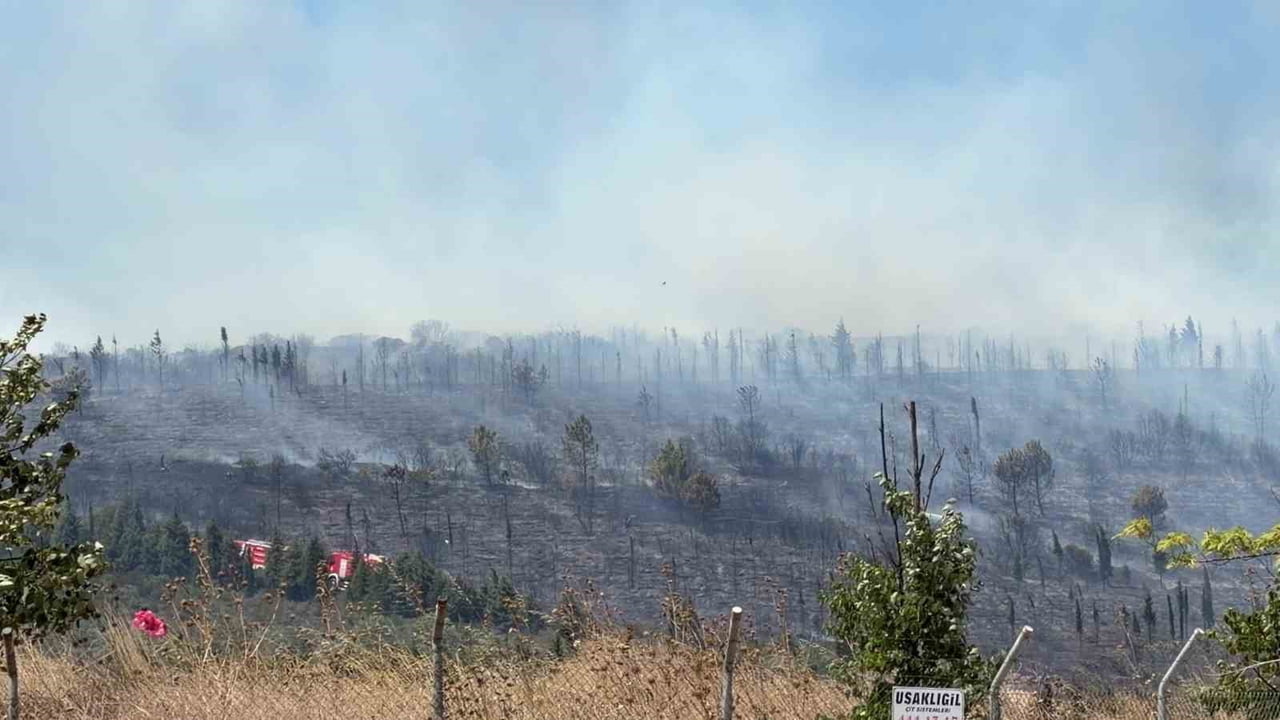 GEBZE İLÇESİNDE ORMANLIK ALANDA YANGIN BAŞLADI