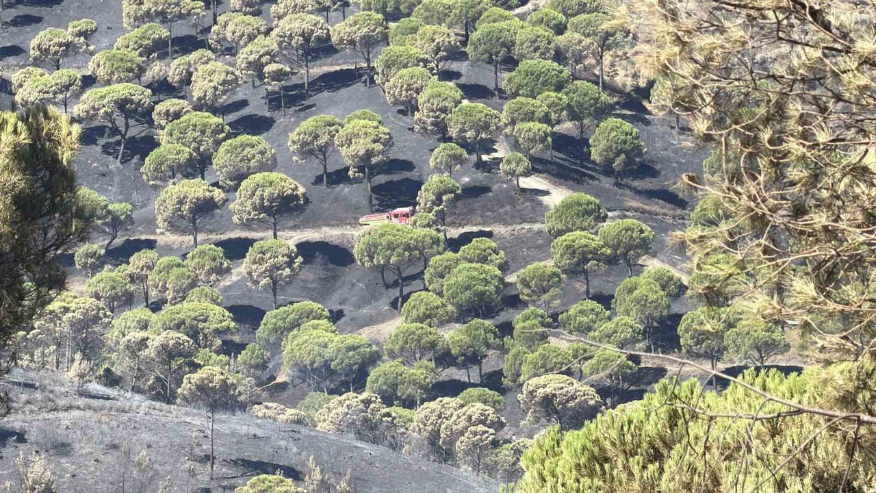 GÖMEÇ VE SUSURLUK YANGINLARINDA GECE MÜDAHALELERİNİN ARDINDAN YANGINLARIN ENERJİSİ DÜŞTÜ