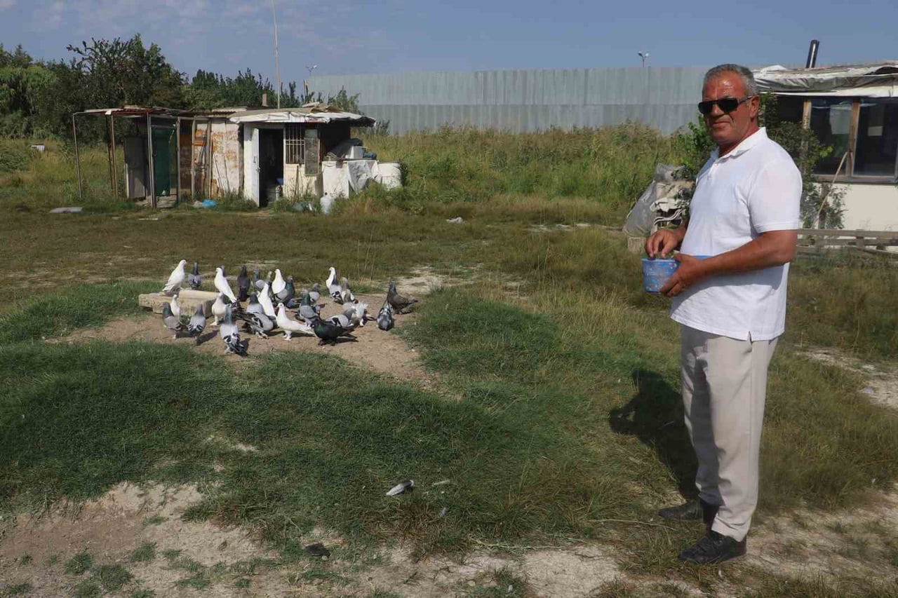 GÜVERCİN YETİŞTİRİCİSİ HALUK KARYAĞDI