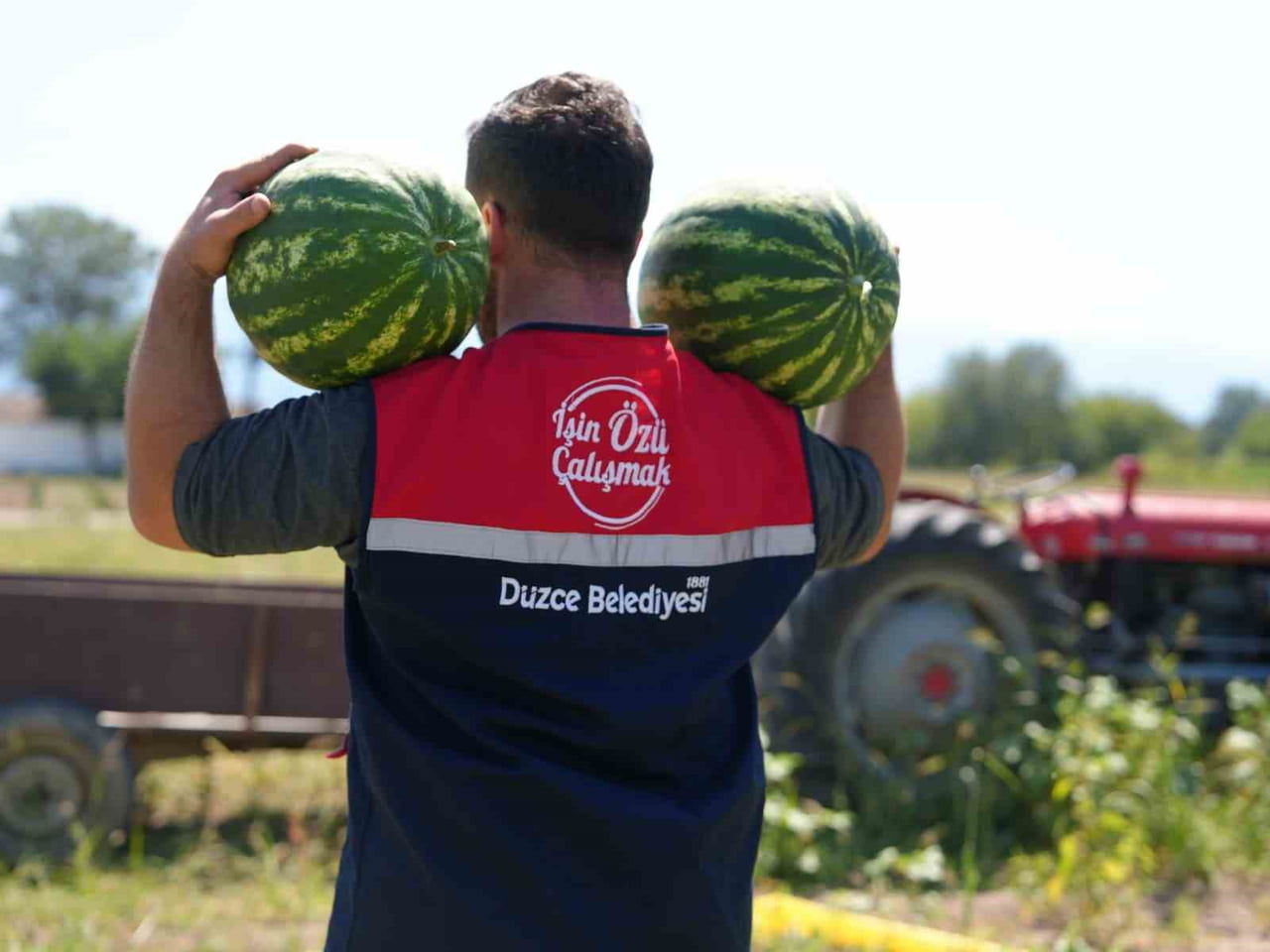 HASAT EDİLEN KARPUZLAR, İHTİYAÇ SAHİBİ AİLELERE ULAŞTIRILDI.