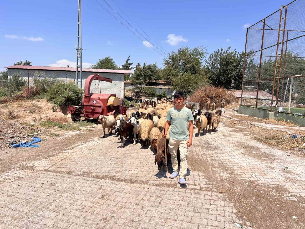 HATAY'DA YAŞAYAN SURİYELİ ABDURRAHMAN ELRAHİM, 4 YILDIR AYNI AİLENİN HAYVANLARINA ÇOBANLIK YAPARAK...
