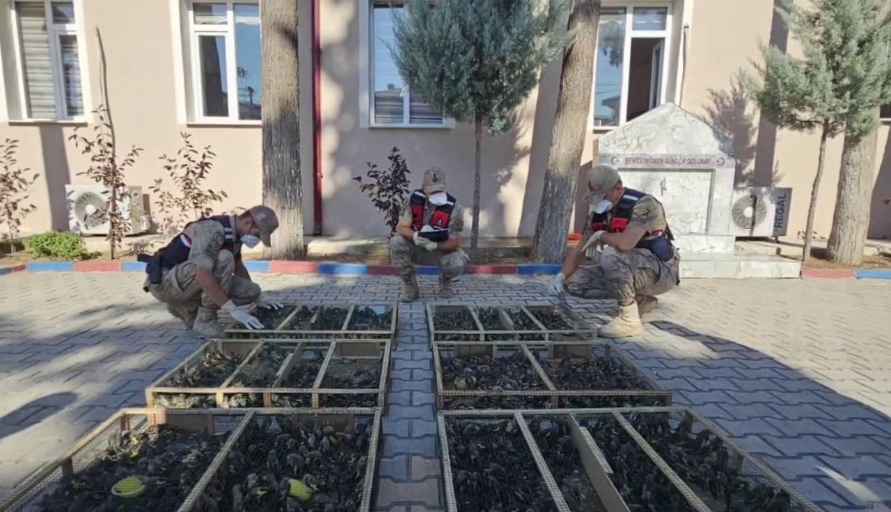 HATAY’DA JANDARMA EKİPLERİ TARAFINDAN SURİYE SINIRINDA  TRAKTÖR RÖMORKUNDA YAPILAN KONTROLLERDE...