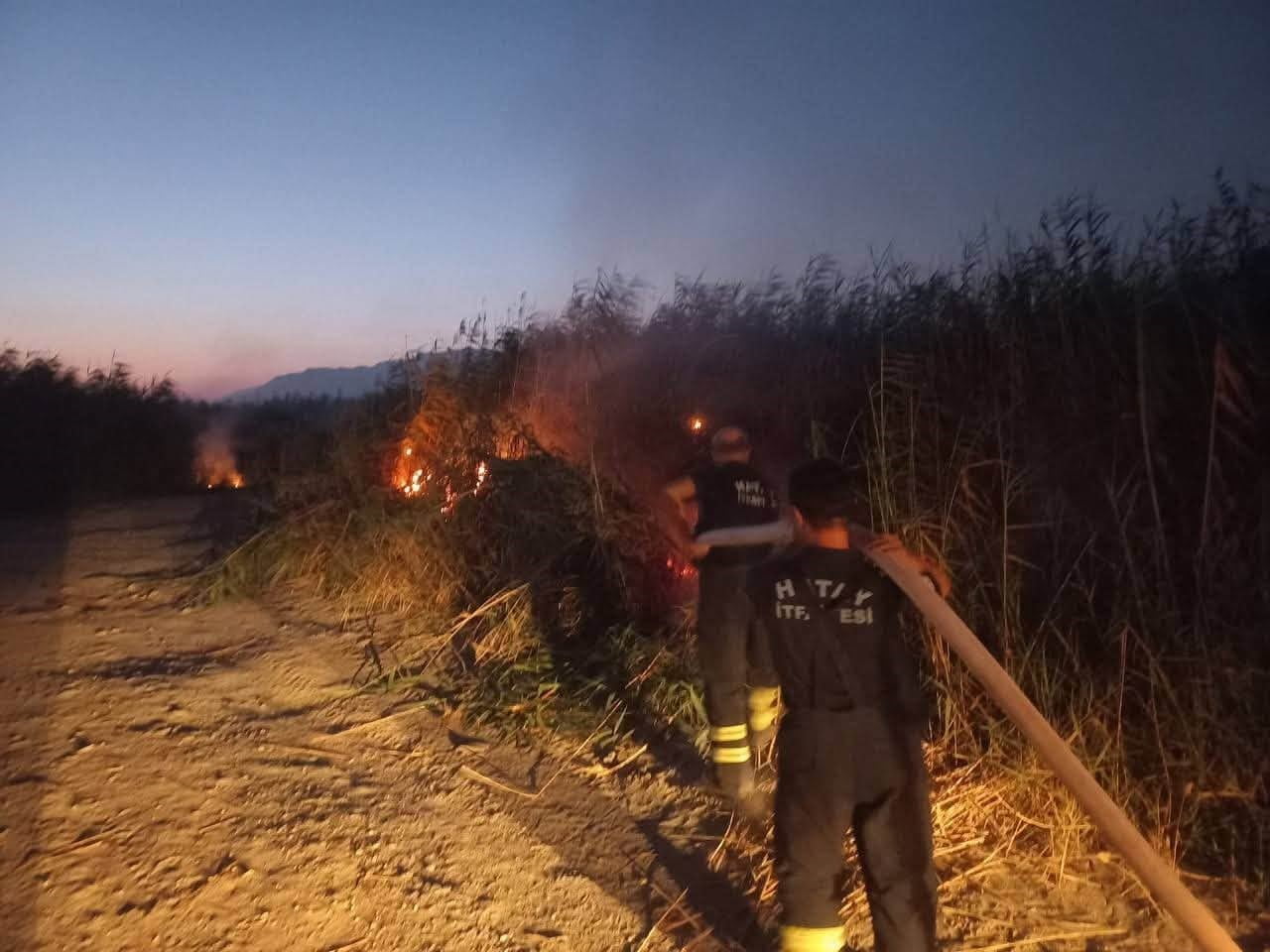 HATAY’DA KAMIŞLIK ALANDA ÇIKAN YANGINDA ALEVLER İTFAİYE EKİPLERİNİN MÜDAHALESİYLE KONTROL ALTINA...