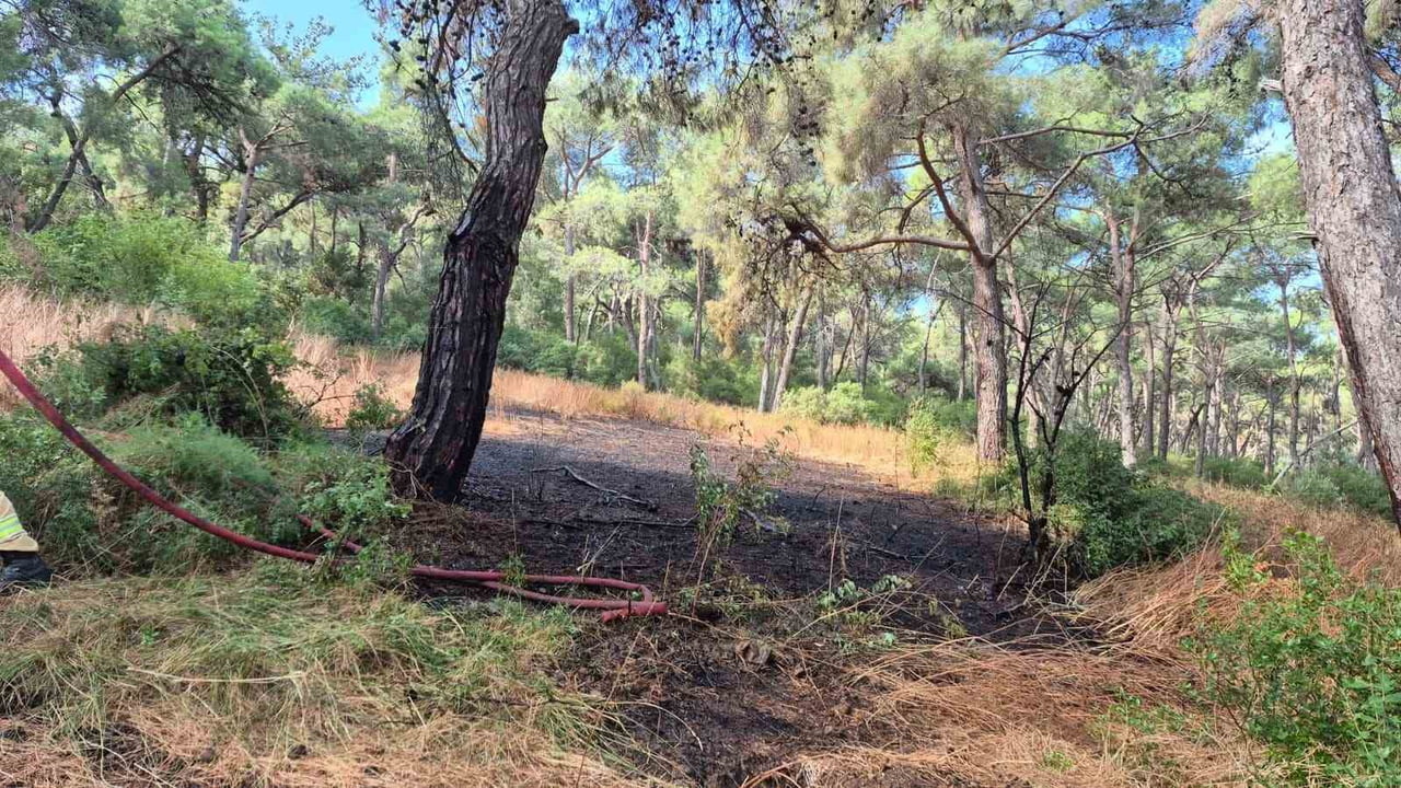 HEYBELİADA’DA ORMANLIK ALANDA ÇIKAN YANGIN, İTFAİYE EKİPLERİNİN HIZLI MÜDAHALESİYLE BİRLİKTE...