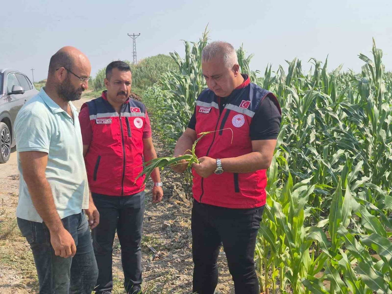 İL TARIM VE ORMAN MÜDÜRÜ ABDURRAHMAN TÜRKMEN, ANTAKYA’DA MISIR ÜRETİMİ YAPAN ÜRETİCİYİ TARLASINDA...