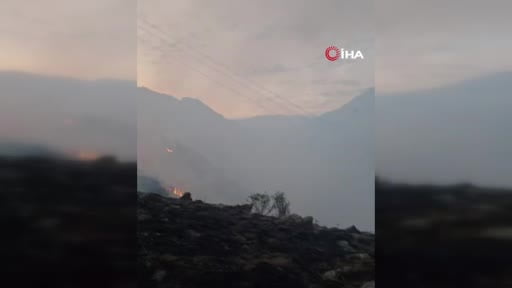 İspir'de orman yangını