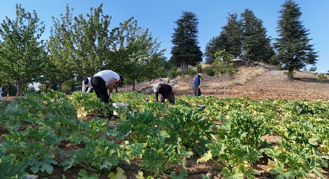 KAHRAMANMARAŞ'TA BİR DEPREMZEDE 6 ŞUBAT DEPREMLERİNDE ÇALIŞTIĞI FABRİKANIN YIKILMASIYLA BİRLİKTE...