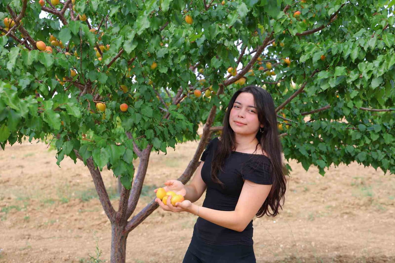 KAHRAMANMARAŞ’IN ELBİSTAN İLÇESİNDE SU KAYNAĞININ BULUNMADIĞI KIRSAL BİR YAYLADA, LEONARDİT GÜBRE...
