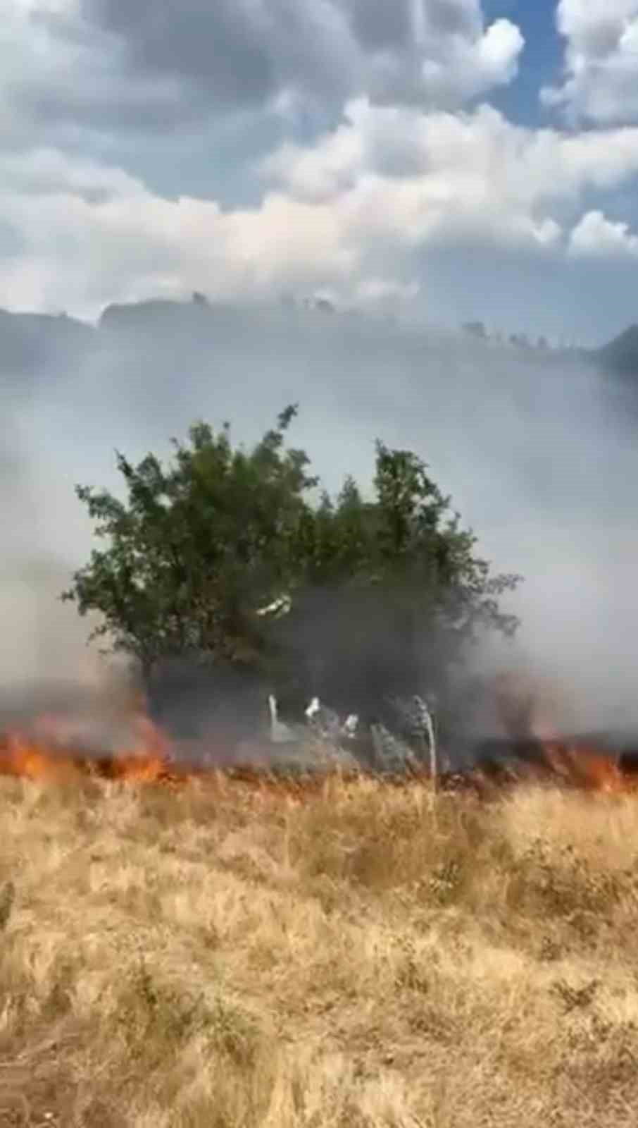 KARABÜK'ÜN SAFRANBOLU İLÇESİNDE BOŞ ARAZİDE ÇIKAN OT YANGINI, BÜYÜMEDEN KONTROL ALTINA ALINARAK...
